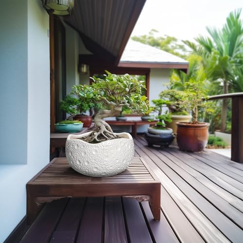10 Inch Plant Pot - Ceramic Planter for Indoor Outdoor, Round Bonsai Pots, Decorative Flower Pots with Drainage Hole, Modern Unique Planters, House Decor, Home Gifts, White - Image 4