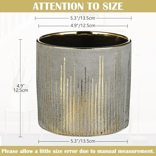 Oairse Small Ceramic Pot for Indoor Plants, 5.3 inch Plant Pot with Drainage Hole Decorative Texture Gold Planter Indoor Outdoor Flower Pots for Succulent Snake Plant Pothos Orchid - Image 2