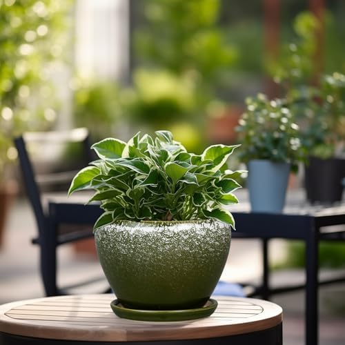 Ceramicfor 6 Inch Plant Pot - Ceramic Planter Pot with Drainage Hole and Saucer, Glaze Succulent Pot Modern Round Flower Pot for Indoor Plants, Dark Green - Image 2
