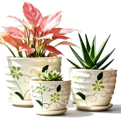 Vintage Flower Pots for Indoor Plant, Round Ceramic Plant Pots with Drainage Holes and Saucers, 6.7/5.2/3.9 Inches Retro Flower Planters Set of 3 by FOLKLORE13