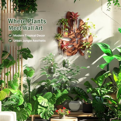 Plant Propagation Station, Monstera Hanging Wall Planter with 6 Glass Tubes - Image 3