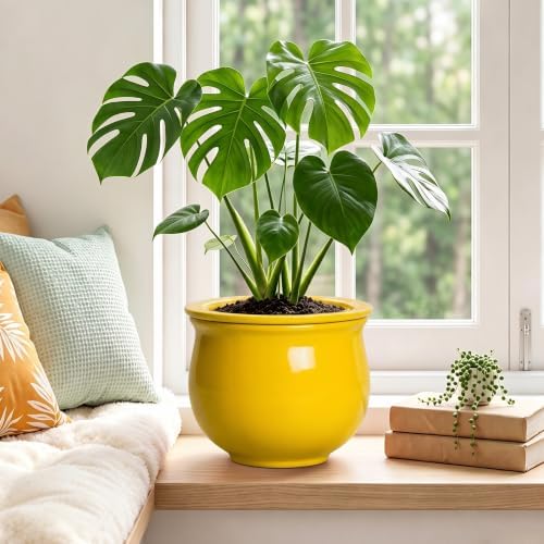 8 Inch SelfWatering Plant Pots, Ceramic Flower Pots, Yellow - Image 4