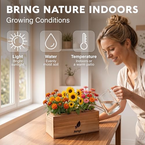 AVERGO Sunflower, Marigold & Zinnia Flower Seeds Growing Kit - Image 5