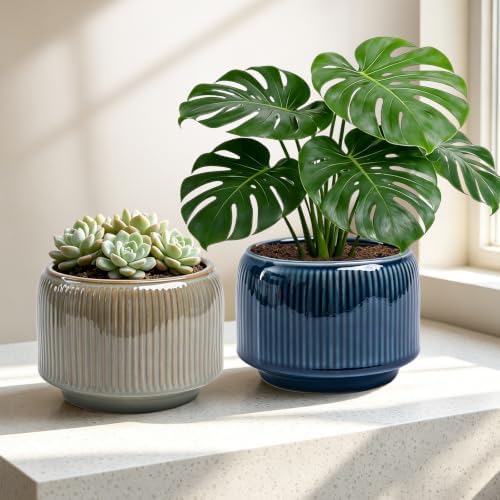 6 Inch Ceramic Plant Pots Set of 2 with Drainage Hole for Indoor Plants - Image 6