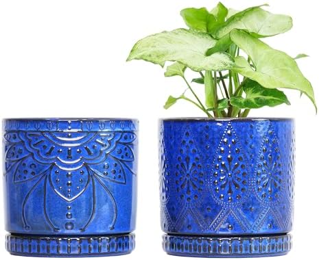 Ceramic Pots for Indoor Plants with Drainage Holes and Saucers, Ceramic Planter for Plants, Flower Pot - Set of 2 by YFFSRJDJ