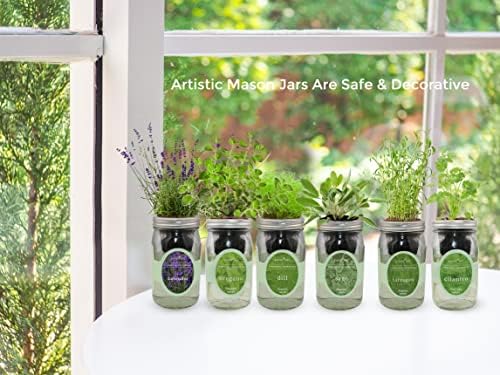 Hydroponic Herb Growing Kit, Self-Watering Mason Jar Herb Garden Starter Kit Indoor, Windowsill Herbs Garden, Grow Your Own Herbs from Organic Seeds (Parsley) - Image 6