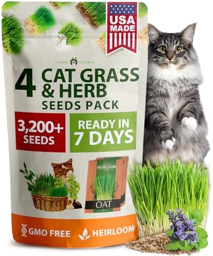 HOME GROWN Indoor Cat Grass Refill 3,200+ Seeds Cat Grass Kit Replacement by HOMEGROWN