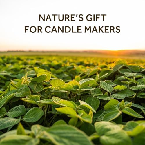 NORVENCE Soy Wax for Candle Making, Natural Soy Wax Flakes 20lb, Premium Candle Wax for DIY Candle Crafting - Image 2