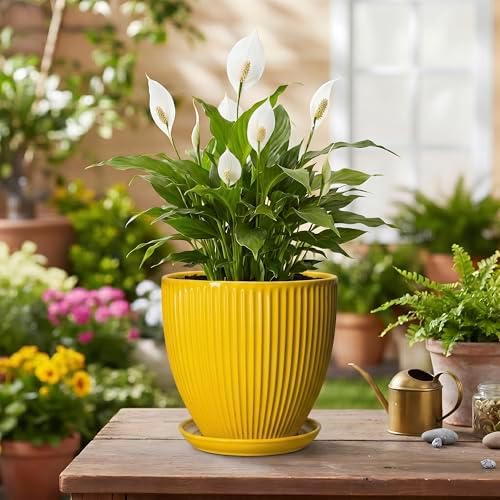 6 Inch Plant Pot, Ceramic Planter with Drainage Hole and Saucer, Decorative Small Plant Pots for Indoor Plants, Modern Round Flower Pot, Home Office Room Decor, House Warming Gifts, Yellow - Image 4