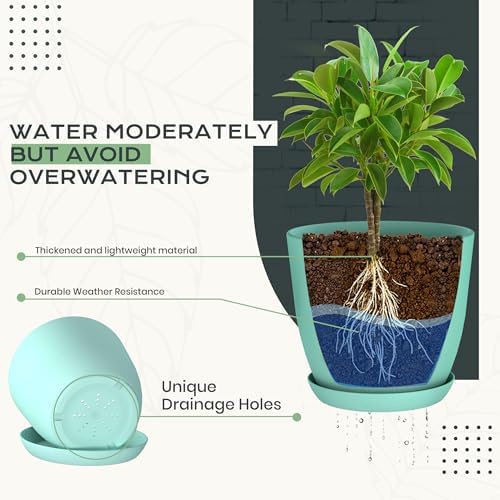 Plant Pots Indoor with Drainage, 10 Pack Multi-Size Planters Set, Aqua - Image 3
