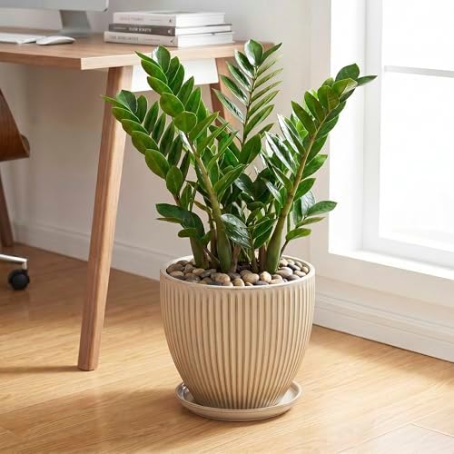 Ceramic Planter, 10 Inch Plant Pot for Large Indoor Plants, Beige - Image 3