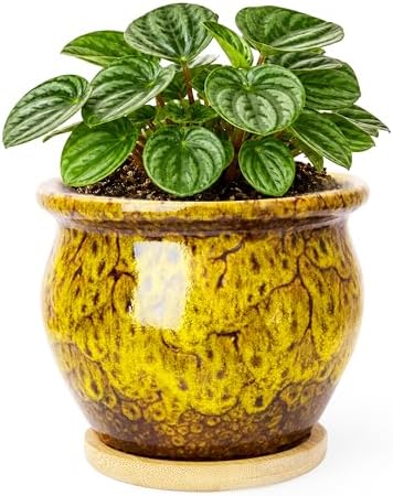 Plant Pots, 4.5 Inch Plant Pots for Indoor, Small Ceramic Planter with Tray by ARTKETTY