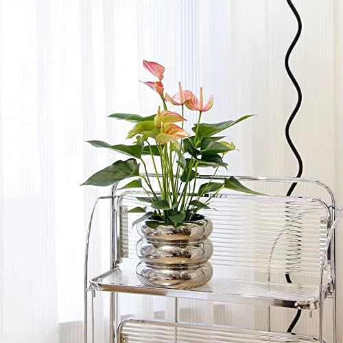 Ceramic Plant Pot Indoor, 4.5 Inch Flower Pot with Drainage Hole, Small Bubble Design Ceramic Planter for Home & Office Decor (Silver) - Image 7