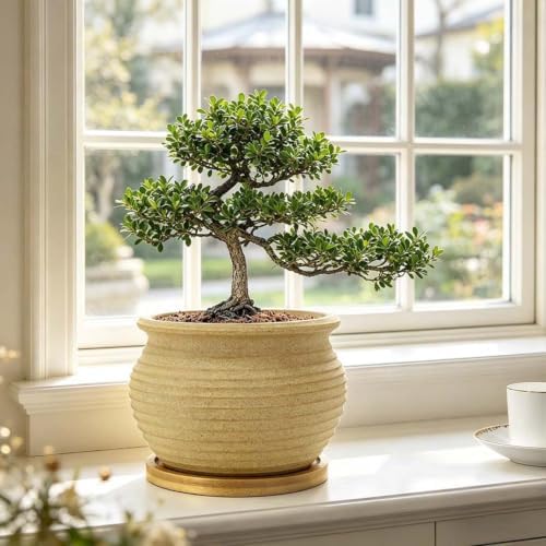 MUZHI Rustic 4 inch Bonsai Plant Pot with Bamboo Tray Set of 4, Unglazed Ceramic Succulent Cactus Pot Indoor Outerdoor with Drainage Hole - Image 5
