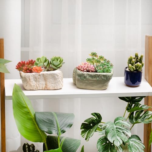 T4U 5.5 Inch Ceramic Succulent Pot Planter with Drainage Hole Set of 3, Stone Shape Rectangle Window Box Cactus Plant Containers Gift for Mom Sister Aunt Best for Home Office Table Desk Decoration - Image 5