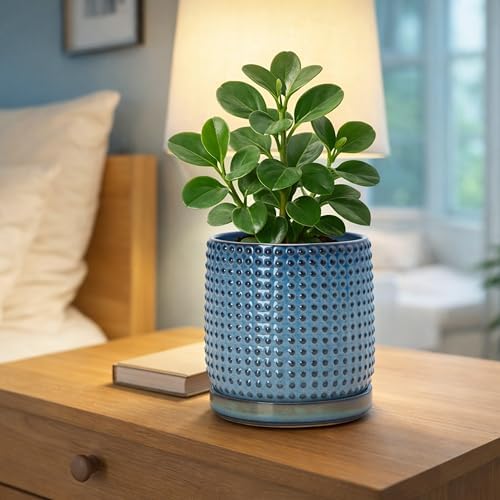 D'vine Dev Beaded Ceramic Pot with Saucer, 6 in, Ocean Teal, 27-C-X-8 - Image 2