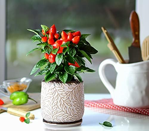 D'vine Dev Embossed Leaves Ceramic Planter, 5 in, Smoked White, 27-A-V-1 - Image 6