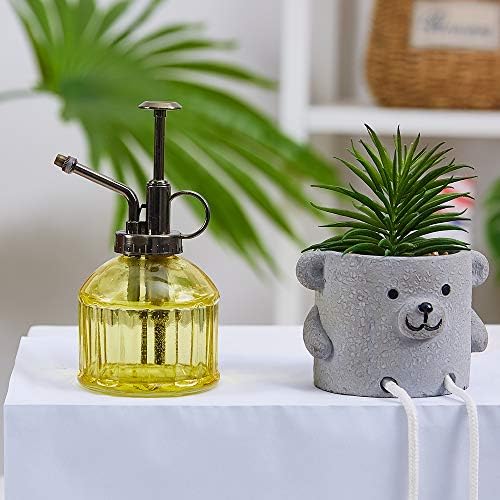 Glass Plant Mister Spray Bottle for Indoor Plants, Vintage Style Yellow - Image 6