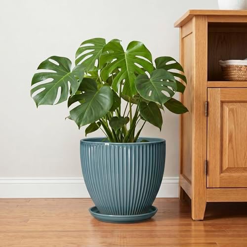 10 Inch Plant Pot, Ceramic Flower Pots with Drainage Hole and Saucer, Round Modern Planters for Indoor Plants, Decorative Plant Pots, Home Patio Decor, Plant Lover Gifts, Glaze Blue - Image 6