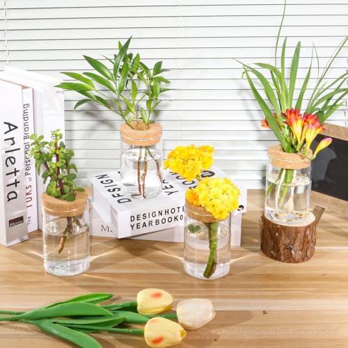 Separated Desktop Glass Flower Vases with Wooden Saucers - Ideal Plants Propagation Stations for Living Room, Bedroom Decoration,Home Decor (9) - Image 5