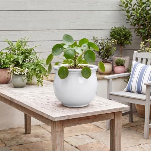 Ceramic African Violet Pot, 8 Inch Self Watering Planter, White - Image 5