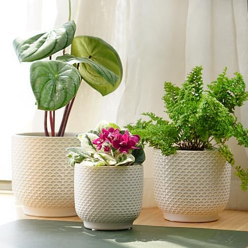 4 + 5 + 6 Inch Ceramic Pots for Indoor Plants, Succulents Plant Pots, Orchid Flower Pot with Drainage Hole, Modern Clay Stoneware Planters, Set of 3 (Milk White, 4+5+6 Inch) - Image 4