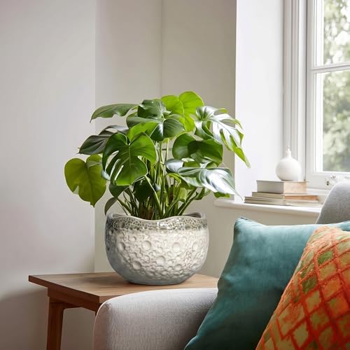 Ceramic Flower Pots - 8 Inch Plant Pots for Indoor Outdoor, Unique Round Planter with Drainage Hole and Plug, Decorative Ceramic Planter, Room Decor, House Warming Gifts, Beige-Grey - Image 3