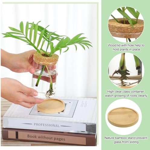 Honeydak 8 Pcs Plants Propagation Stations Desktop Glass Propagation Vases - Image 5