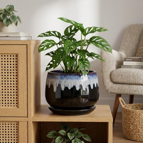 Ceramic Plant Pots - 9 Inch Flower Pots for Indoor Plants, Decorative Pots for Plants with Drainage and Saucer, Large Planter, House Office Decor, Gardening Gifts for Women, Black-Blue - Image 4