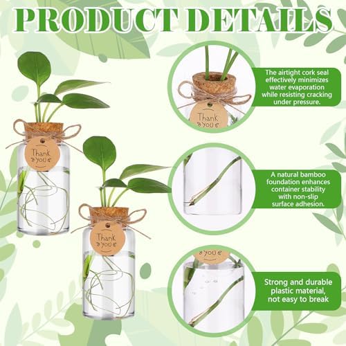 36 Packs Plant Propagation Stations with Hole Lid Clear Plastic Cultivation Bottles Tabletop Hydroponic Containers with Thank You Tags for Home Gardening Office Desktop Decoration - Image 6