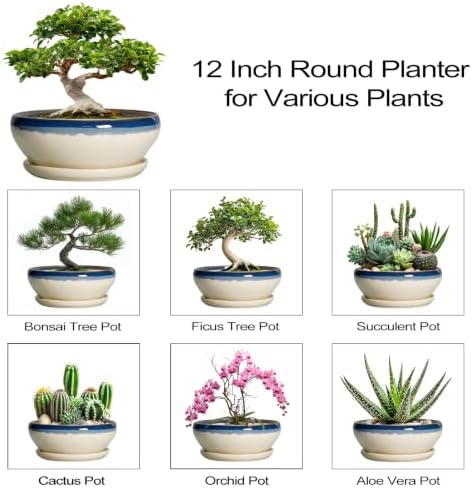 SQOWL Bonsai Tree Pots, 12 Inch Ceramic Succulent Planters, Blue-Beige - Image 7