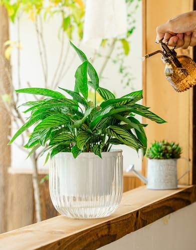 Melphoe Self Watering Pots for Indoor Plants Planter, 6.5 Inch 2 Pack Planters Self Watering Plant Pots for Flower, Houseplants, Succulent, African Violets and Cactus with Drainage - Image 5
