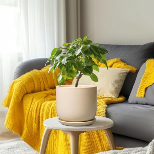 Ceramic Planter - Round Modern 8 Inch Plant Pot with Drainage Hole and Saucer for Flowers Herb, Home House Office Room Apartment Decor, Yellow - Image 6