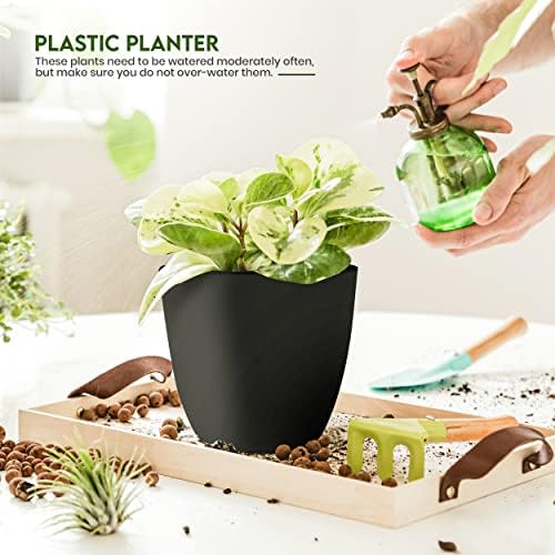 Plant Pots Indoor with Drainage, 5 Pack Multi-Size Planters Set, Black - Image 4