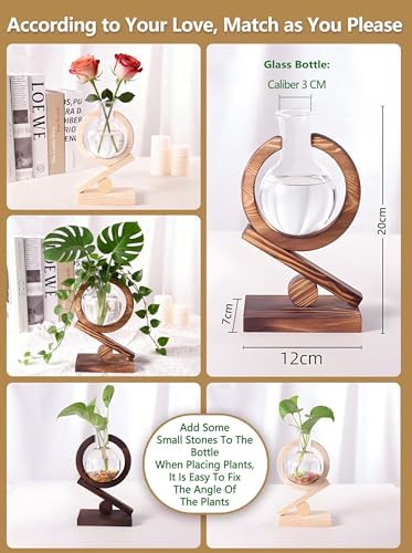 Glass Plant Propagation Station with Wooden Stand, Dark Burnt Wood - Image 3