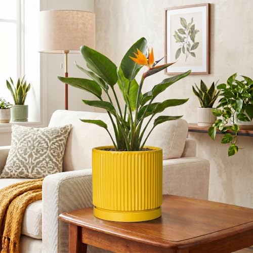 Ceramic Planter 8 Inch, Round Flower Pots with Saucer, Yellow - Image 6