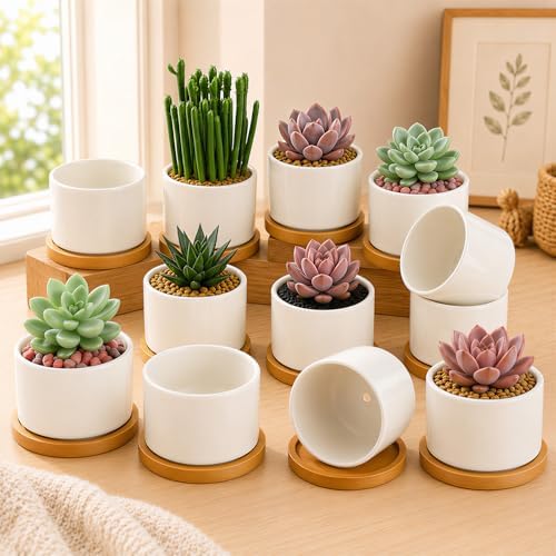 ZOUTOG 12 Pack 3.1" Ceramic Succulent Pots,White Planter with Drainage Tray by ZOUTOG