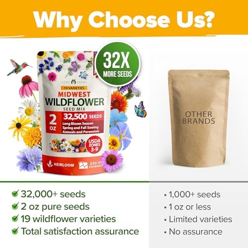 HOME GROWN Midwest Wildflower Mix 32,500+ Flower Seeds 2 oz - Image 7