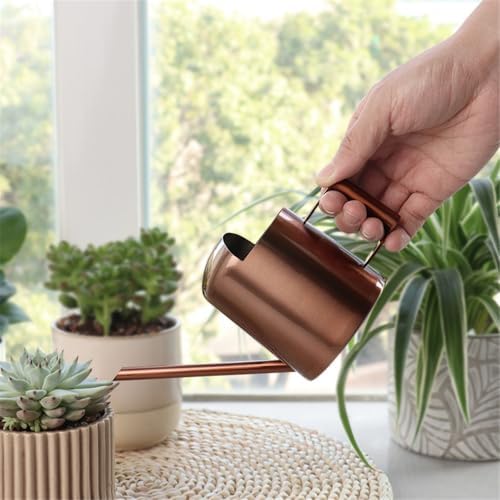 Watering Can for Indoor Plants, Small Watering Cans Sprinkling Pot for Greenhouse Garden Flower Plants, Stainless Steel Long Spout Water Can for Outdoor Watering Plants, 300ML/0.08 Gallon (Copper) - Image 2