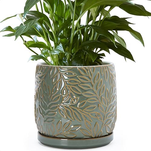 D'vine Dev Embossed Leaves Ceramic Planter, 8 in, Olive, 27-A-Q-0 by DvineDevPlanterPotsandStand