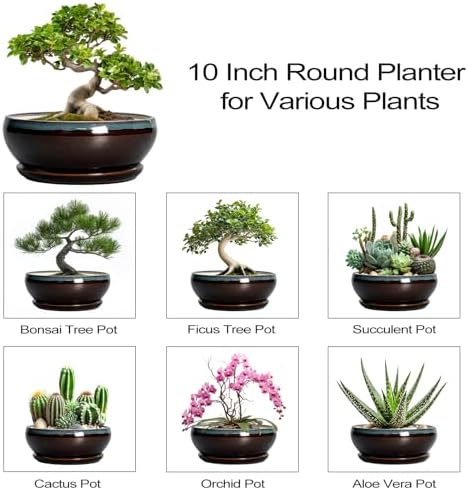 SQOWL Bonsai Tree Pots - 10 Inch Ceramic Succulent Pots with Drainage Hole and Saucer, Round Shallow Plant Pot Indoor Outdoor, Ceramic Bonsai Pot, Bowl Planter, Home Decor, Garden Gifts, Blue-Brown - Image 7