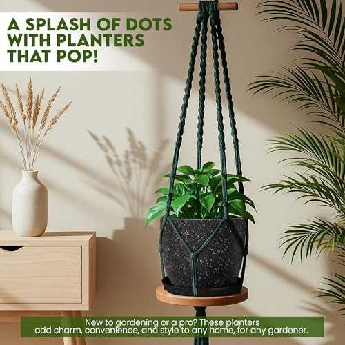 Plant Pots Indoor with Drainage 10 Pack Multi-Size Planters Spotty Black - Image 2
