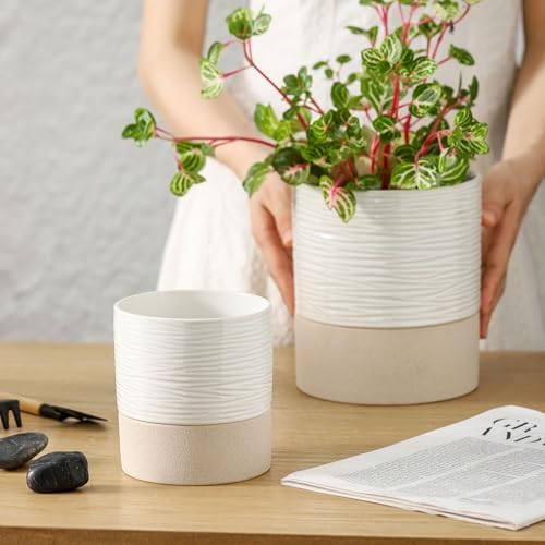 Nihow Ceramic Self Watering Plant Pot for Indoor Plants, 4.5+6 Inch - Image 7