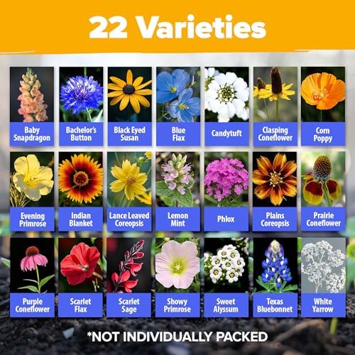 HOME GROWN Texas Wildflower Mix 131,200+ Flower Seeds 3 oz - Image 2