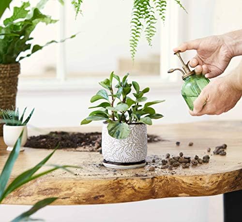 D'vine Dev Embossed Leaves Ceramic Planter, 4 in, Smoked White, 27-A-Z-1 - Image 2