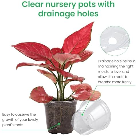 Bluepro Clear Nursery Pots with Drainage Holes, 4/5/7 Inch, 30-Pack - Image 3