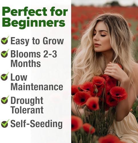 HOME GROWN American Legion Red Poppy Seeds, 6,000 Seeds, Papaver rhoeas - Image 4