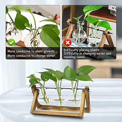 Kingbuy Desktop Glass Planter Iron and Wooden Stand Plant Terrariums for Indoor Office Desk Decor Accessories, 3 Bulb Vases, Brown - Image 4