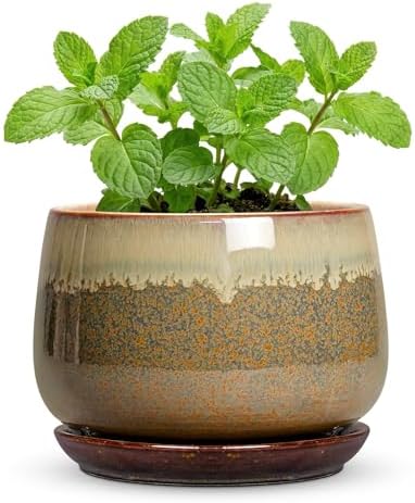 Ceramic Pots for Plants, 6 Inch Plant Pot Indoor, Brown-Beige by Fivepot