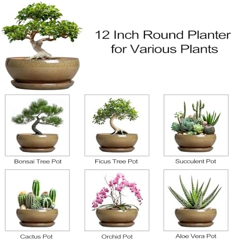 SQOWL Ceramic Bonsai Pots, 12 Inch Succulent Pots with Saucer, Brown - Image 7